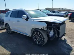 KM8R5DGE3SU848754 2025 HYUNDAI PALISADE