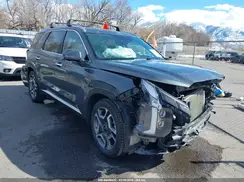 KM8R5DGE4PU520329 2023 HYUNDAI PALISADE