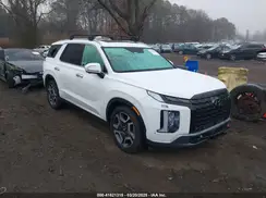 KM8R5DGE4RU718167 2024 HYUNDAI PALISADE