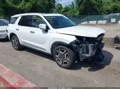 KM8R5DGE4SU811132 2025 HYUNDAI PALISADE