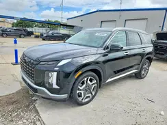 KM8R5DGE4SU821384 2025 HYUNDAI PALISADE