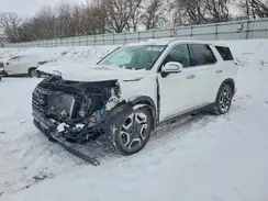 KM8R5DGE5RU668671 2024 HYUNDAI PALISADE