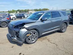 KM8R5DGE5RU700695 2024 HYUNDAI PALISADE