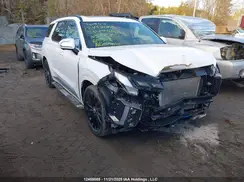 KM8R5DGE5SU813133 2025 HYUNDAI PALISADE