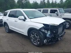 KM8R5DGE6RU729915 2024 HYUNDAI PALISADE