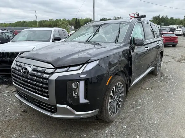 KM8R5DGE6SU863586 2025 HYUNDAI PALISADE - Image 1