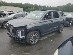 KM8R5DGE7PU496558 2023 HYUNDAI PALISADE