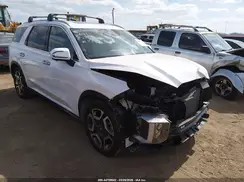 KM8R5DGE7RU666713 2024 HYUNDAI PALISADE