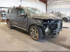 KM8R5DGE8PU518843 2023 HYUNDAI PALISADE