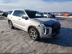 KM8R5DGE8SU841931 2025 HYUNDAI PALISADE