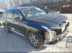 KM8R5DGE9PU552161 2023 HYUNDAI PALISADE