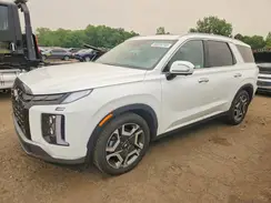 KM8R5DGE9PU622614 2023 HYUNDAI PALISADE