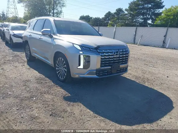 KM8R5DGE9RU719511 2024 HYUNDAI PALISADE - Image 1