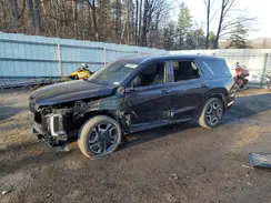 KM8R5DGEXPU567848 2023 HYUNDAI PALISADE