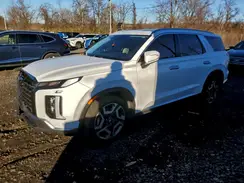 KM8R5DGEXPU632200 2023 HYUNDAI PALISADE