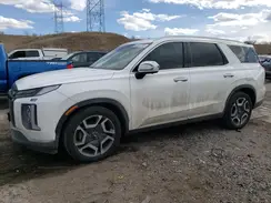 KM8R5DGEXRU688107 2024 HYUNDAI PALISADE