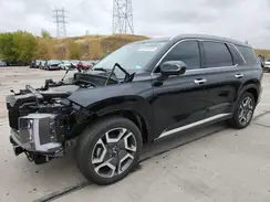 KM8R5DGEXRU695302 2024 HYUNDAI PALISADE