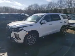 KM8R5DGEXRU718044 2024 HYUNDAI PALISADE