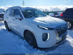 KM8R5DHE0LU041429 2020 HYUNDAI PALISADE