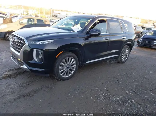 KM8R5DHE0LU046193 2020 HYUNDAI PALISADE - Image 2