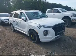 KM8R5DHE0LU134273 2020 HYUNDAI PALISADE