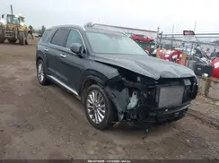 KM8R5DHE0LU138470 2020 HYUNDAI PALISADE