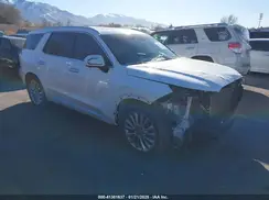 KM8R5DHE1LU119491 2020 HYUNDAI PALISADE