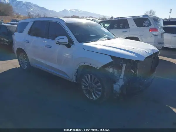 KM8R5DHE1LU119491 2020 HYUNDAI PALISADE - Image 1
