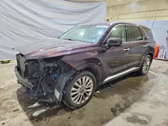 KM8R5DHE1LU148280 2020 HYUNDAI PALISADE