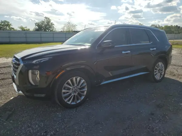 KM8R5DHE1LU169615 2020 HYUNDAI PALISADE - Image 1