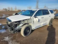 KM8R5DHE1MU213405 2021 HYUNDAI PALISADE