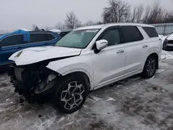 KM8R5DHE1MU214103 2021 HYUNDAI PALISADE