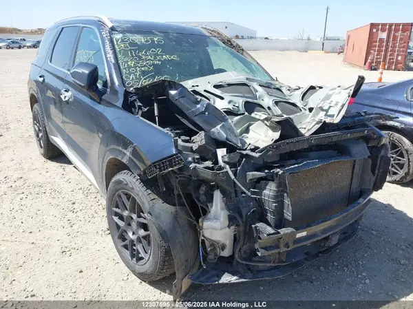 KM8R5DHE2LU116602 2020 HYUNDAI PALISADE - Image 1