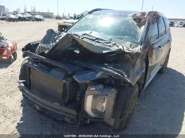 KM8R5DHE2LU116602 2020 HYUNDAI PALISADE - Image 2