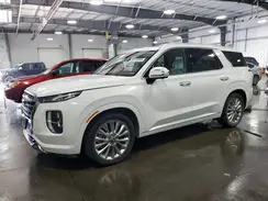 KM8R5DHE2LU135859 2020 HYUNDAI PALISADE