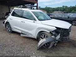 KM8R5DHE2MU256019 2021 HYUNDAI PALISADE