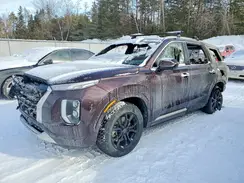 KM8R5DHE3LU034233 2020 HYUNDAI PALISADE