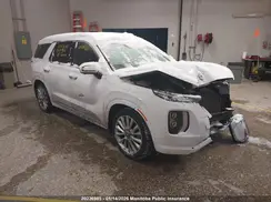KM8R5DHE3LU113482 2020 HYUNDAI PALISADE