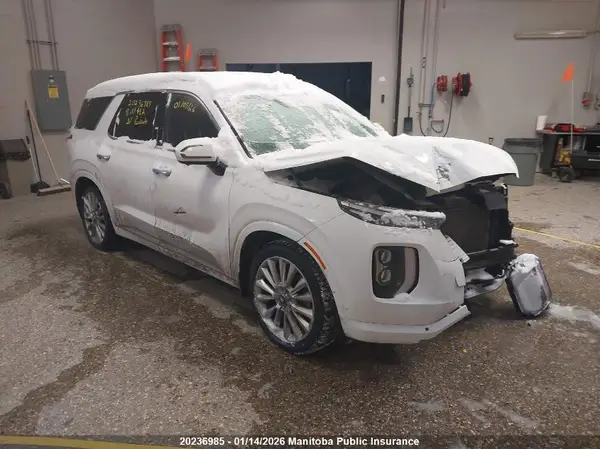 KM8R5DHE3LU113482 2020 HYUNDAI PALISADE