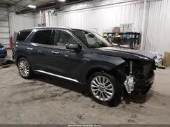 KM8R5DHE3LU132193 2020 HYUNDAI PALISADE