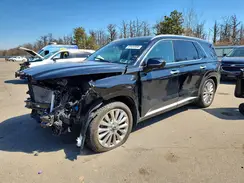 KM8R5DHE4LU117184 2020 HYUNDAI PALISADE