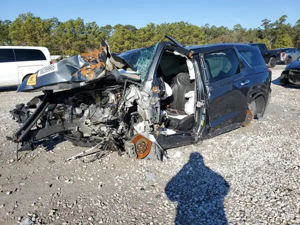 KM8R5DHE4LU142957 2020 HYUNDAI PALISADE - Image 1