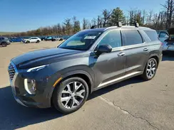 KM8R5DHE4NU392783 2022 HYUNDAI PALISADE