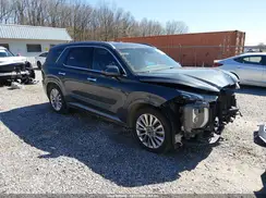 KM8R5DHE5LU038932 2020 HYUNDAI PALISADE