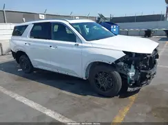 KM8R5DHE5LU090660 2020 HYUNDAI PALISADE