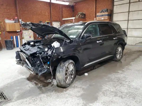 KM8R5DHE5LU112124 2020 HYUNDAI PALISADE - Image 1