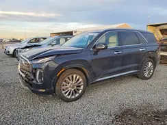 KM8R5DHE5LU124225 2020 HYUNDAI PALISADE