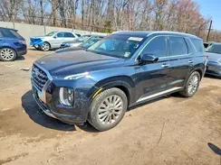 KM8R5DHE5LU124290 2020 HYUNDAI PALISADE
