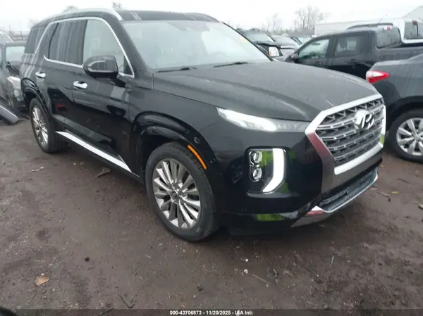 KM8R5DHE5LU151666 2020 HYUNDAI PALISADE - Image 1