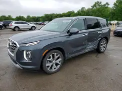 KM8R5DHE5MU173264 2021 HYUNDAI PALISADE